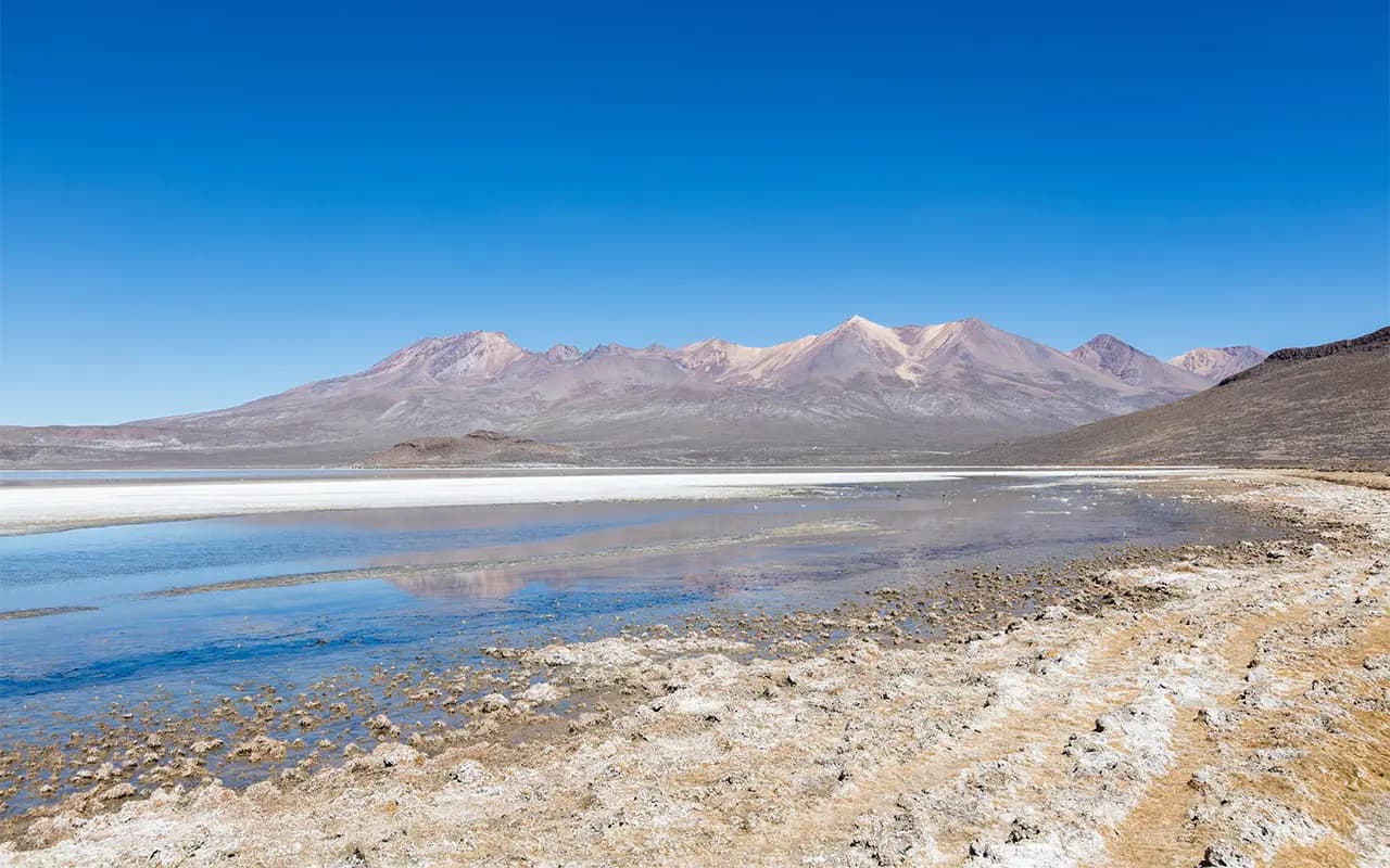 RESERVA DE SALINAS ( SALAR) HALF DAY